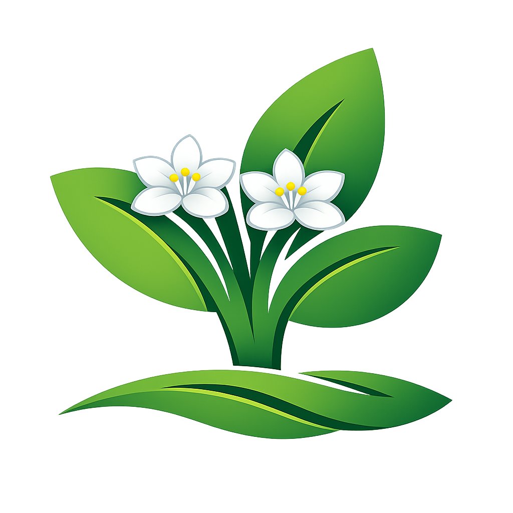Shop By Colour: White Flowering