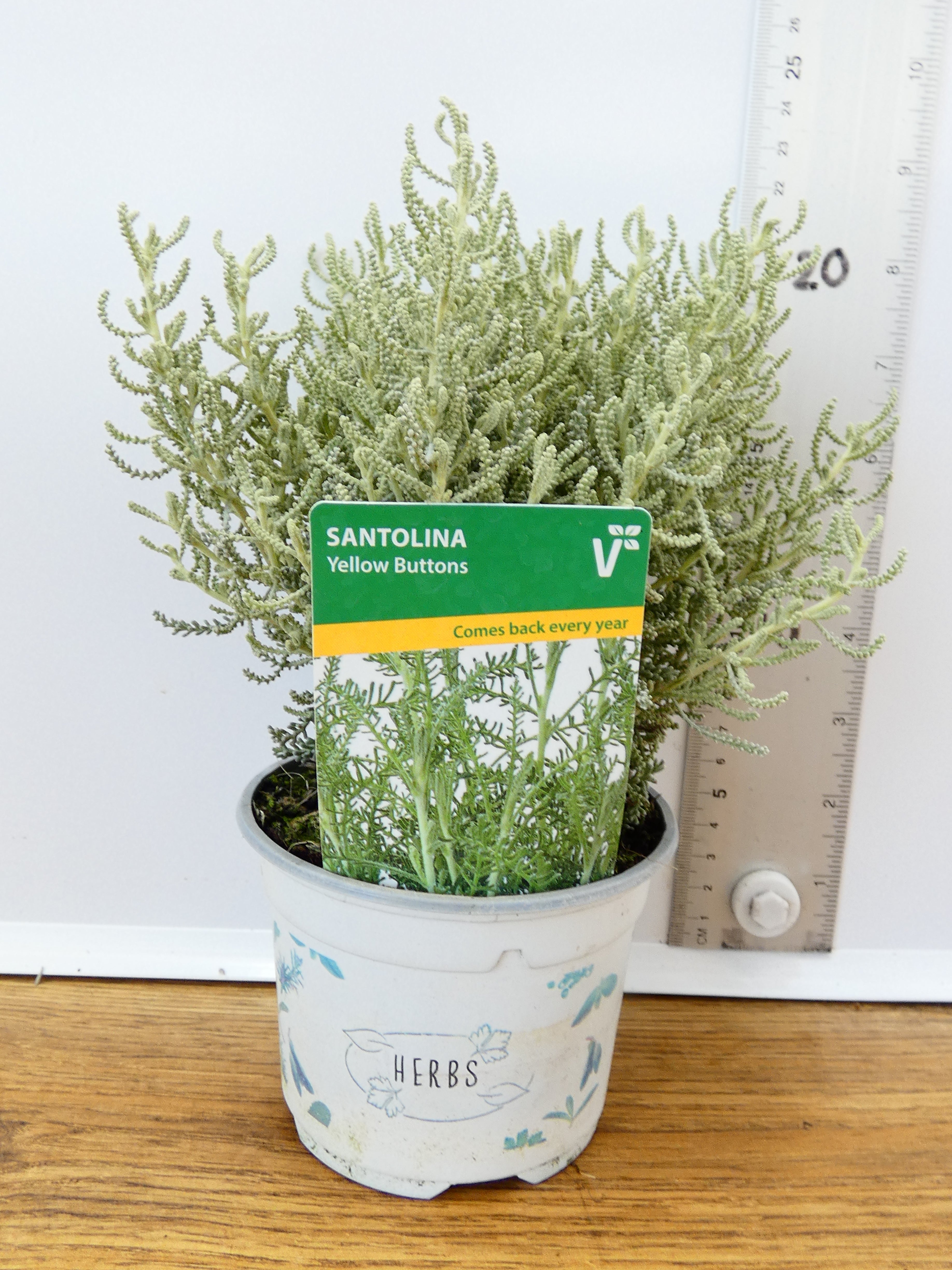 Herbs! Huge Selection (0.5ltr)