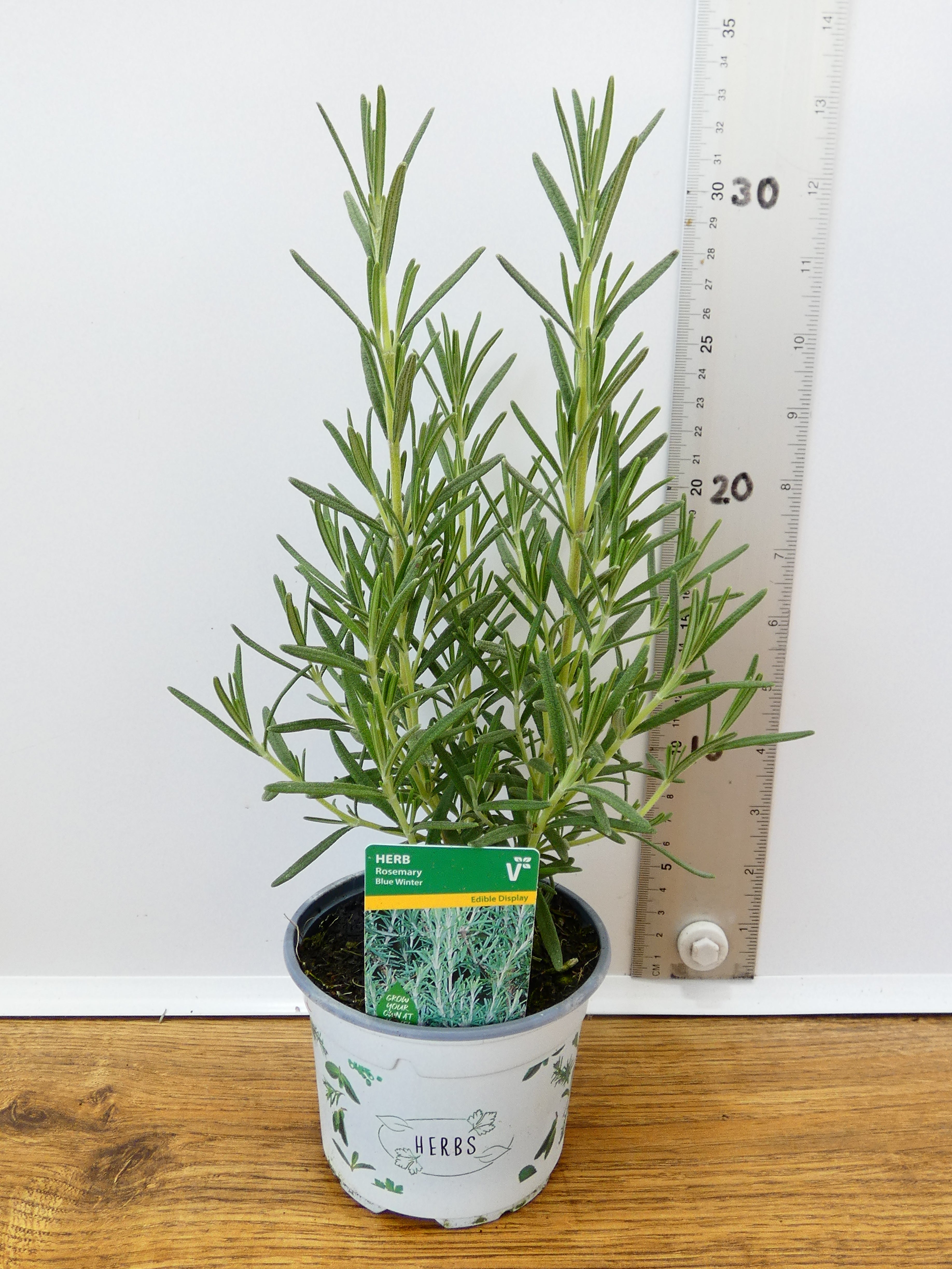 Herbs! Huge Selection (0.5ltr)