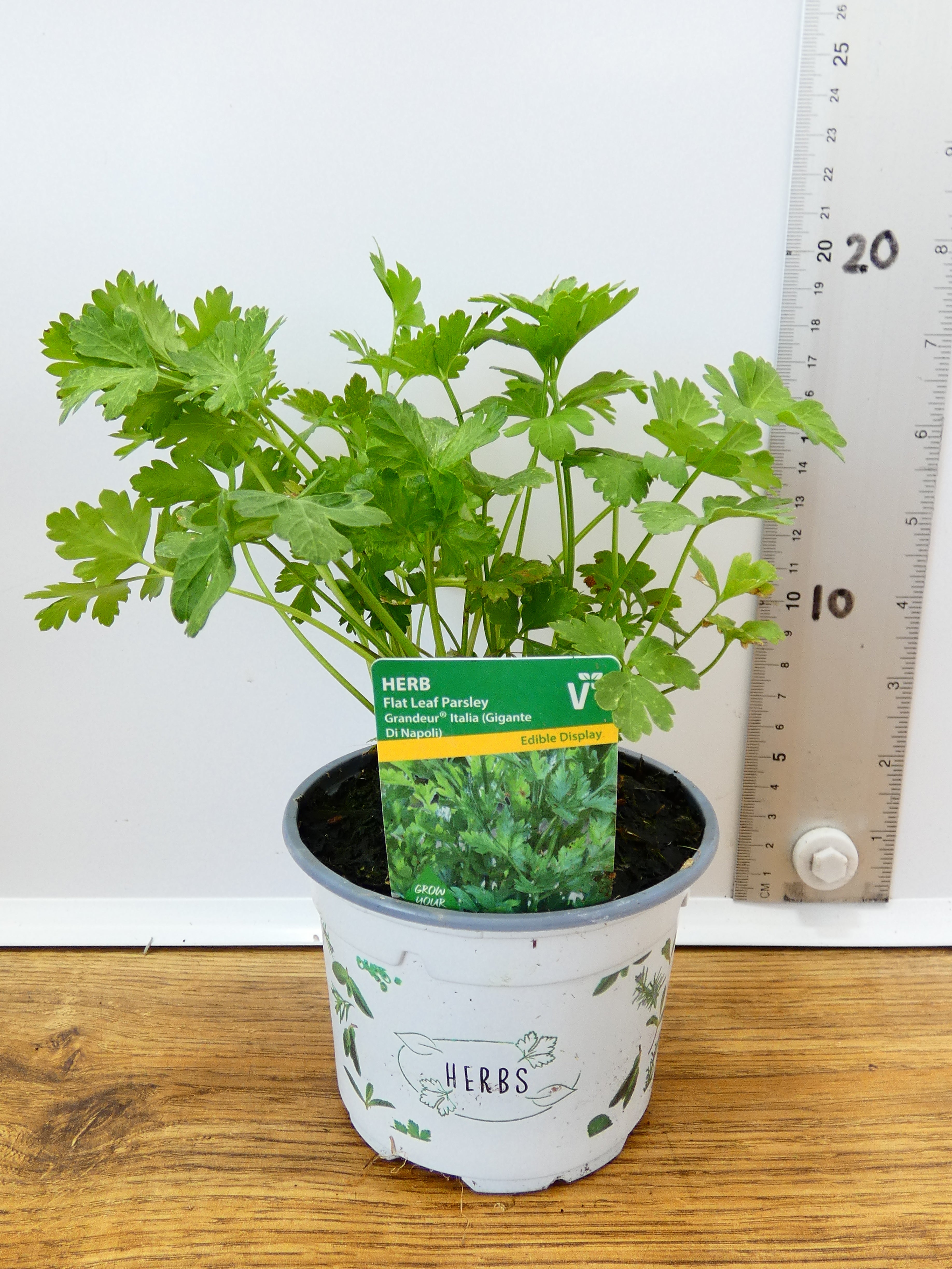 Herbs! Huge Selection (0.5ltr)