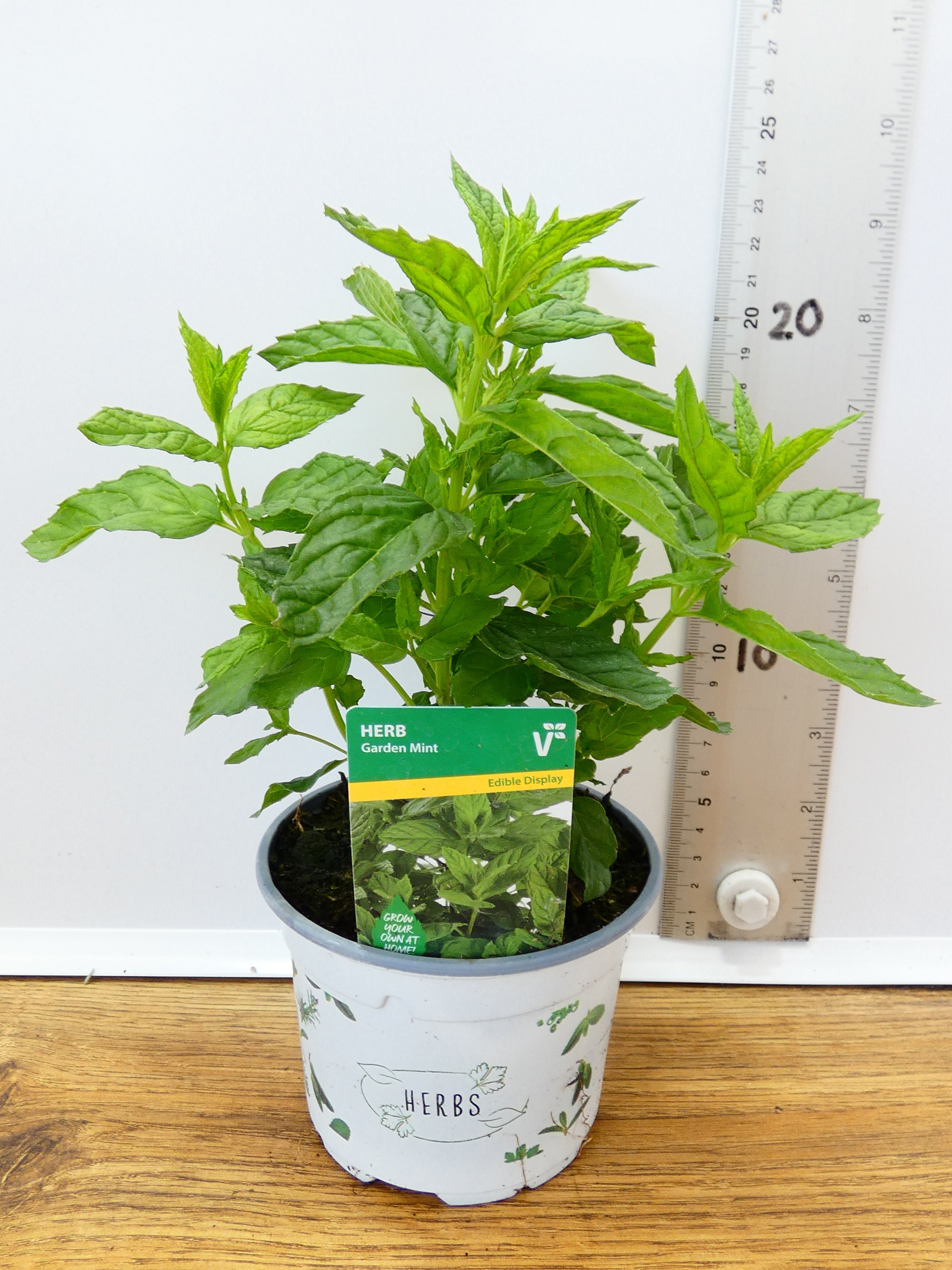 Herbs! Huge Selection (0.5ltr)