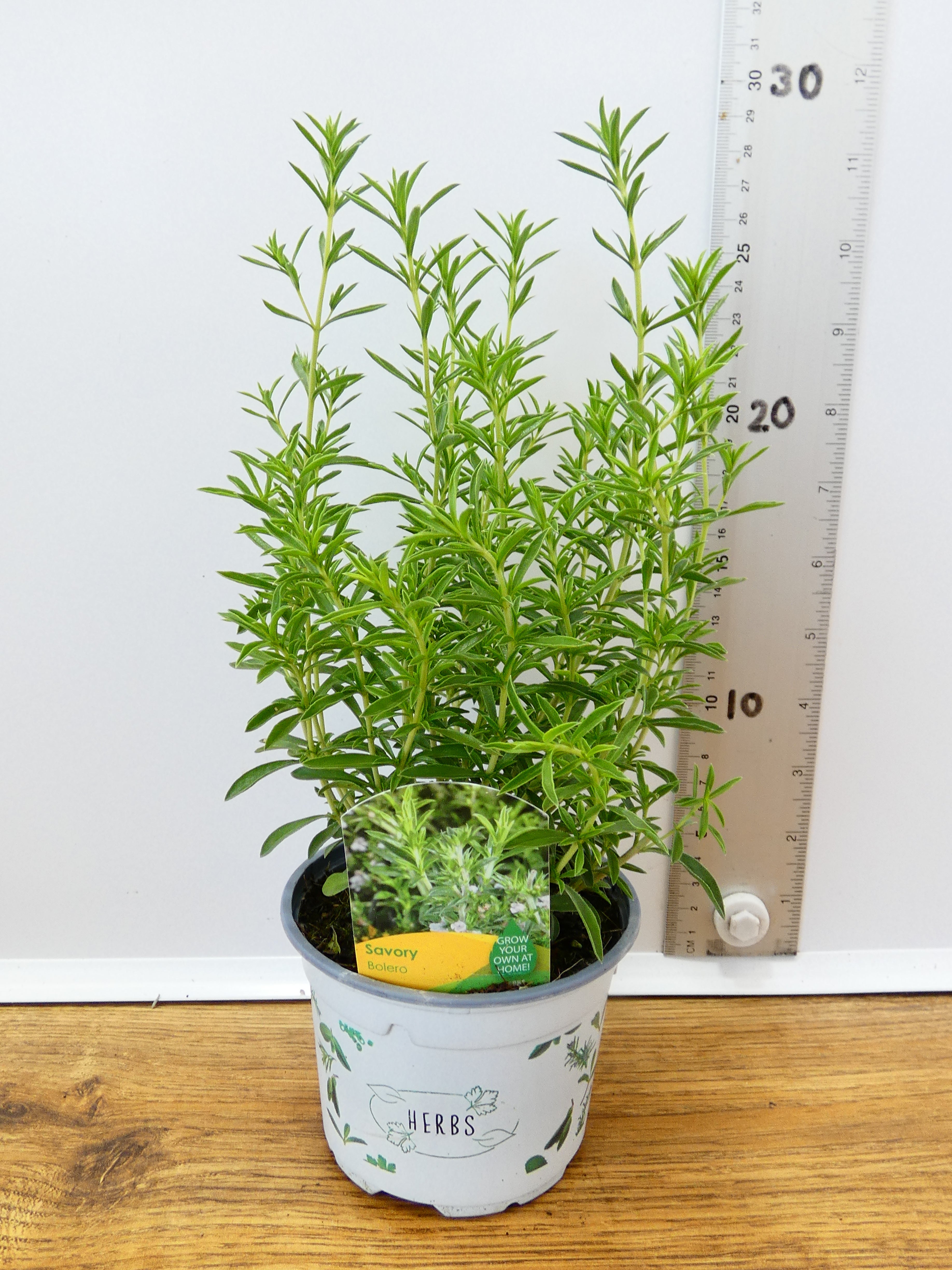 Herbs! Huge Selection (0.5ltr)