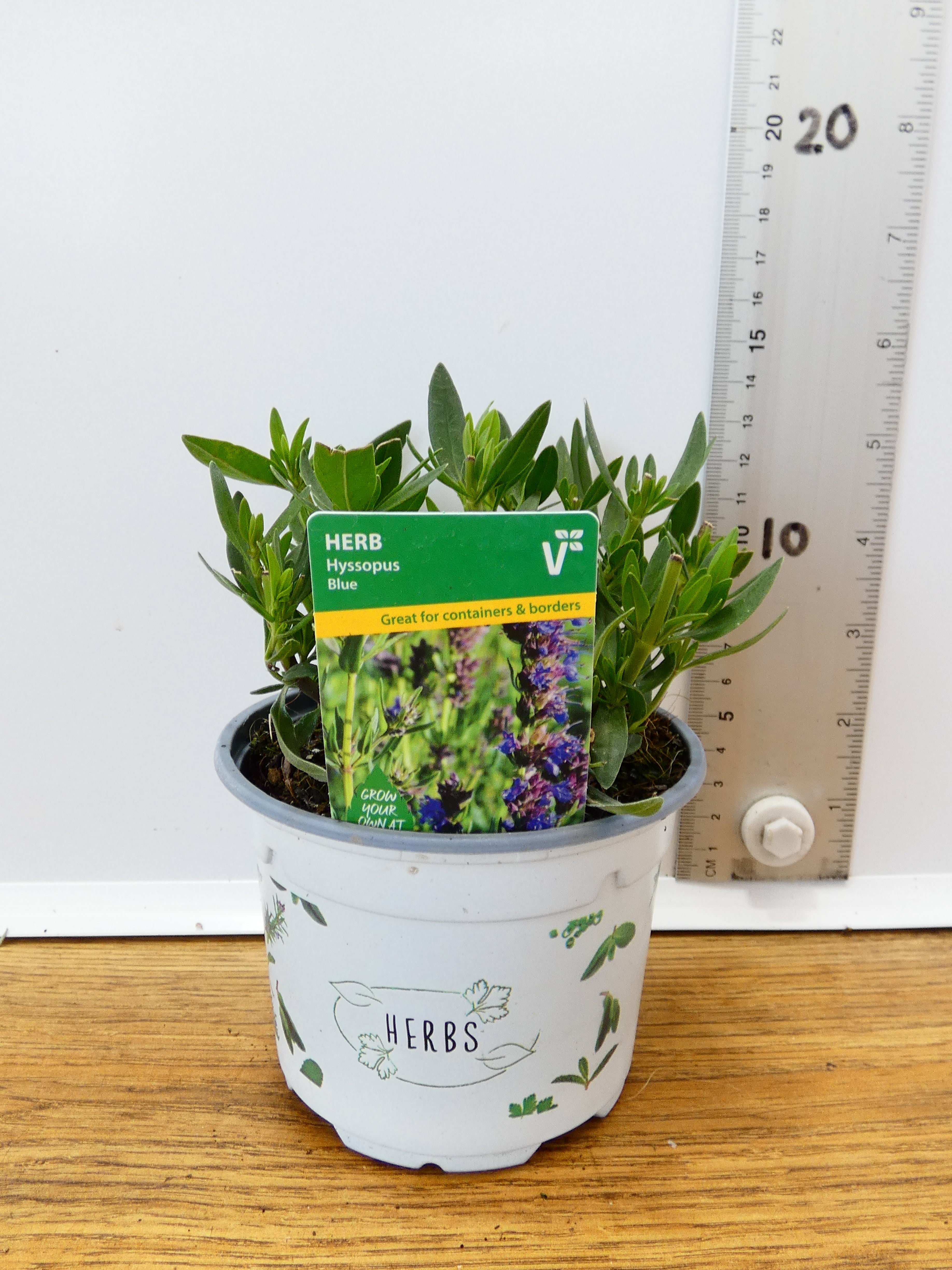 Herbs! Huge Selection (0.5ltr)