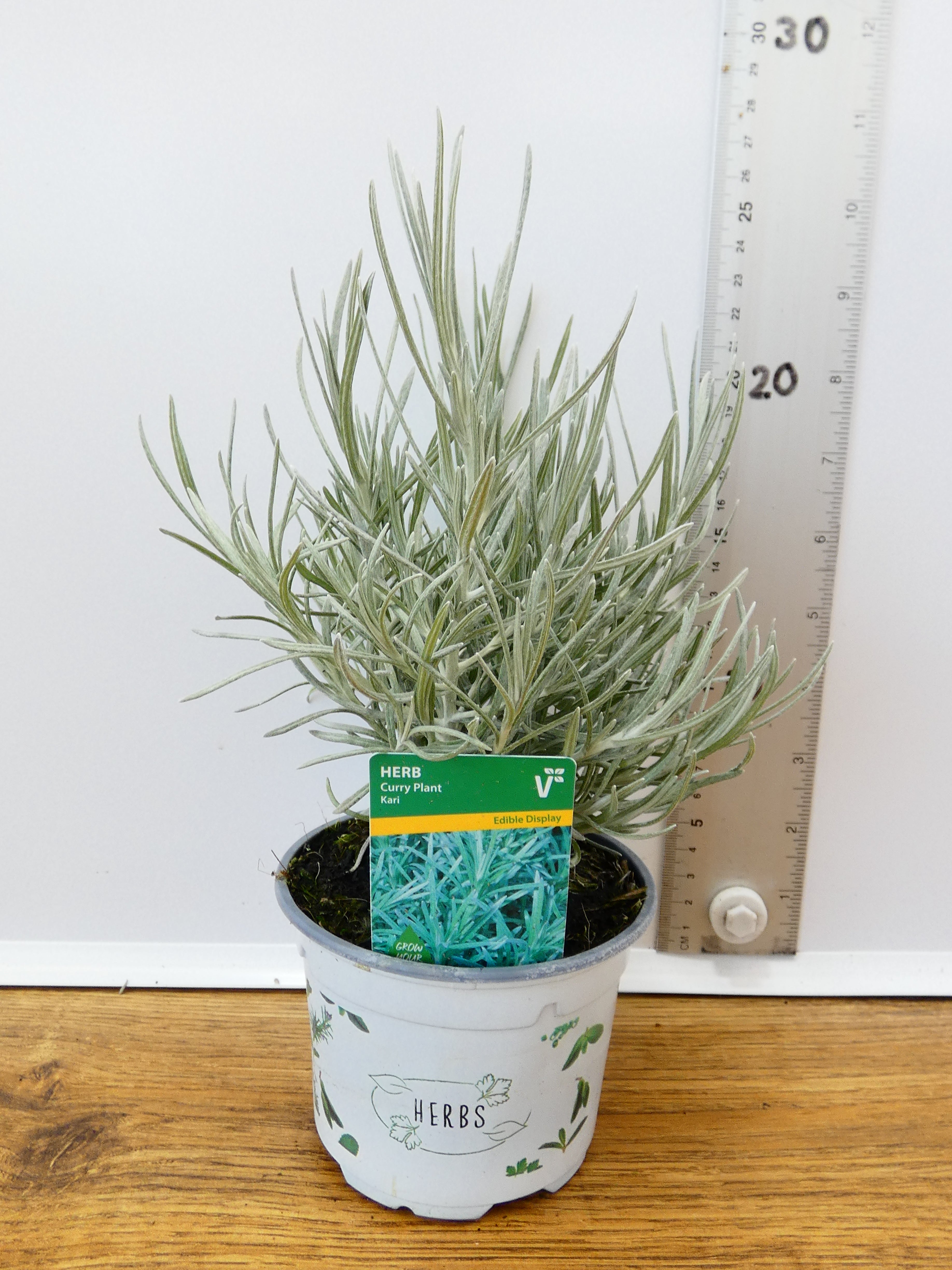 Herbs! Huge Selection (0.5ltr)