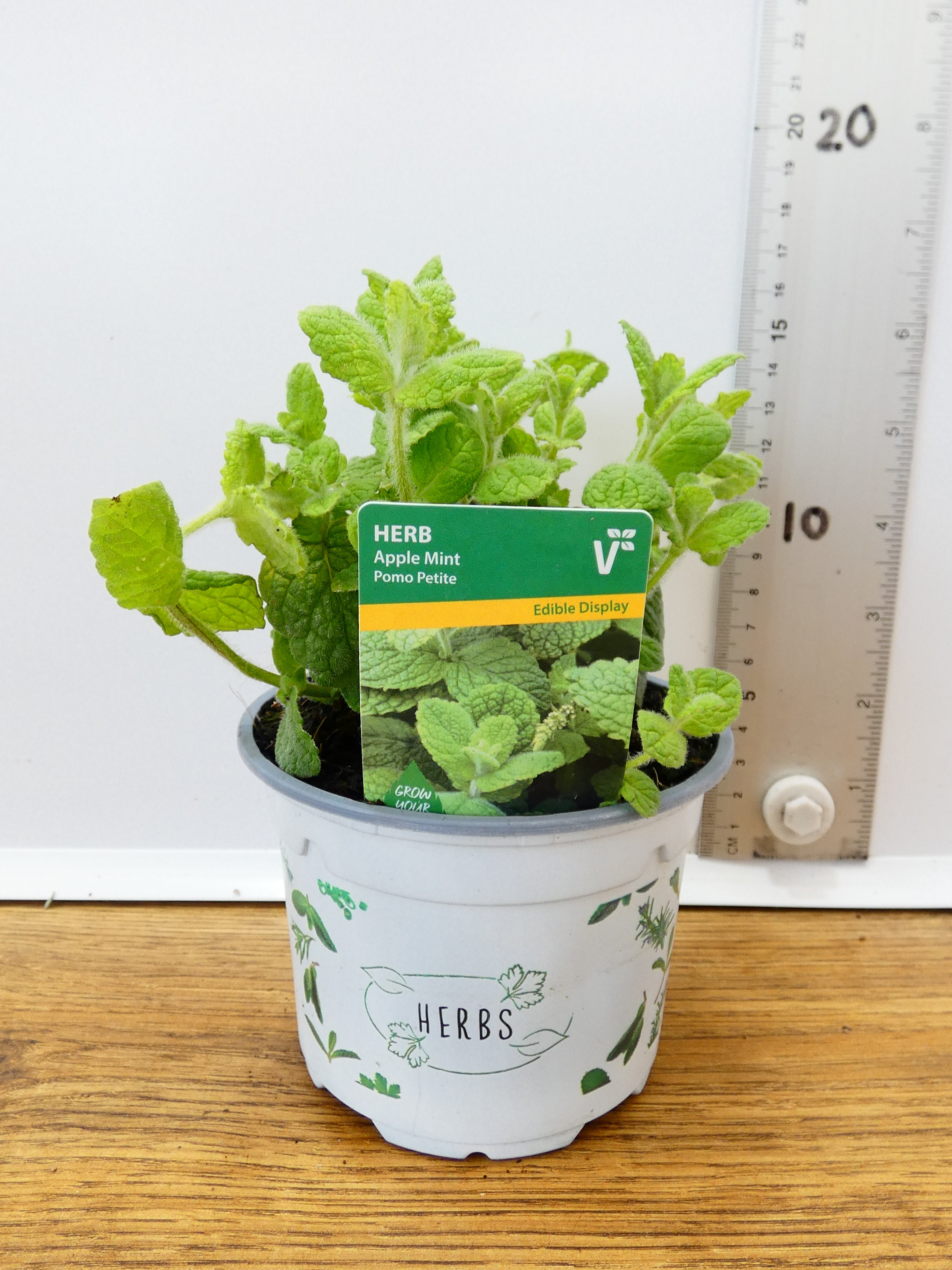 Herbs! Huge Selection (0.5ltr)