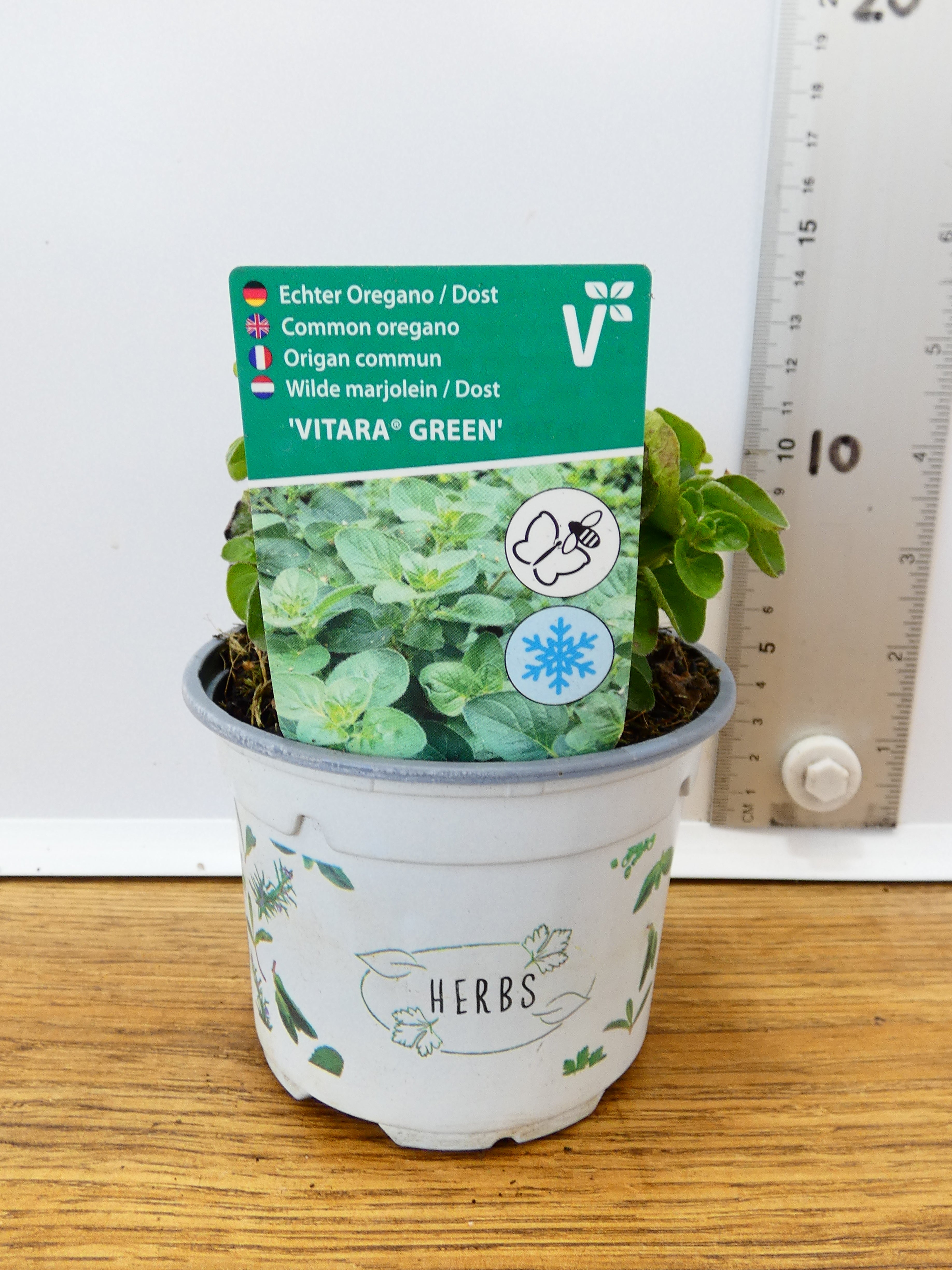 Herbs! Huge Selection (0.5ltr)