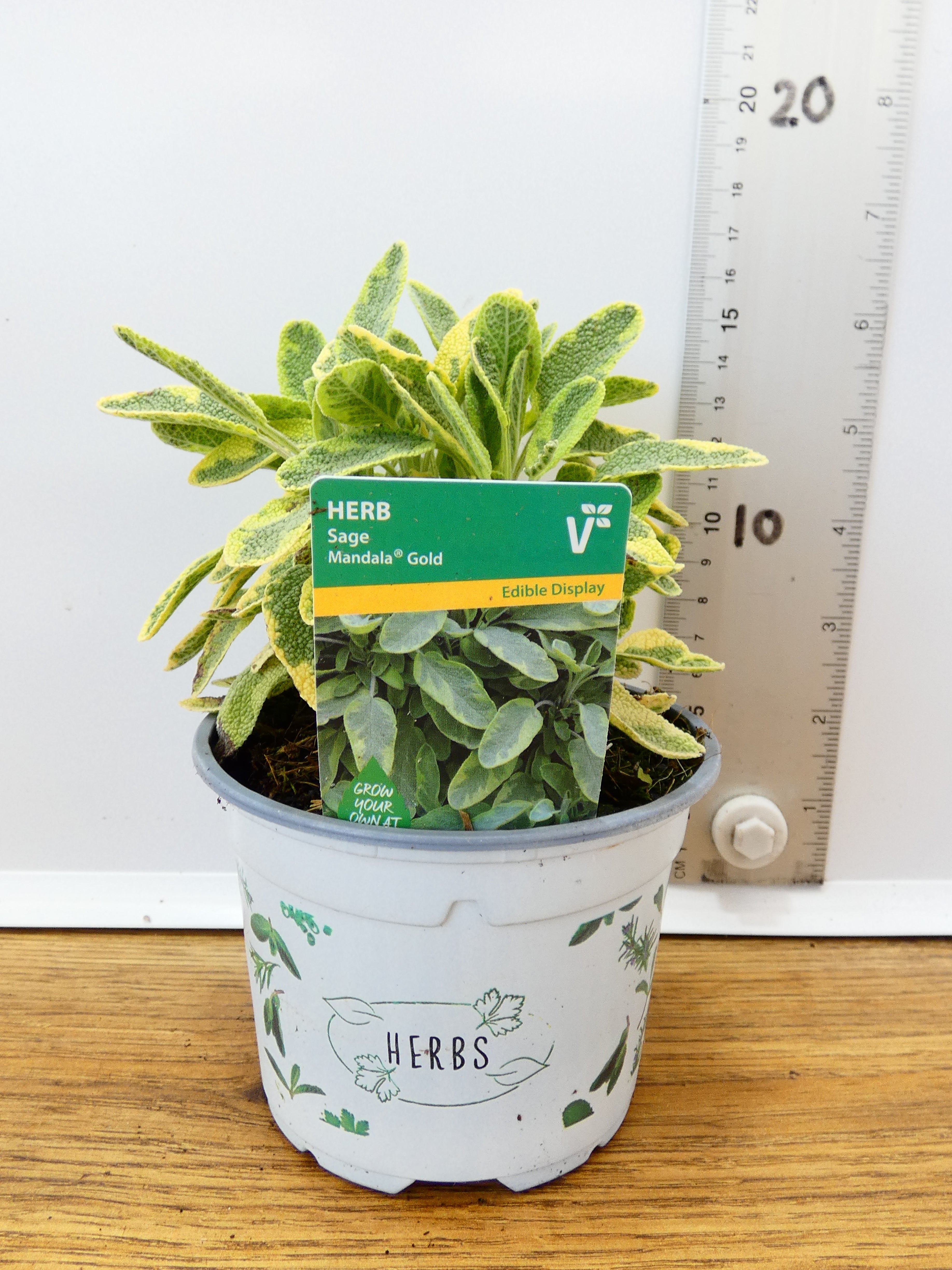 Herbs! Huge Selection (0.5ltr)