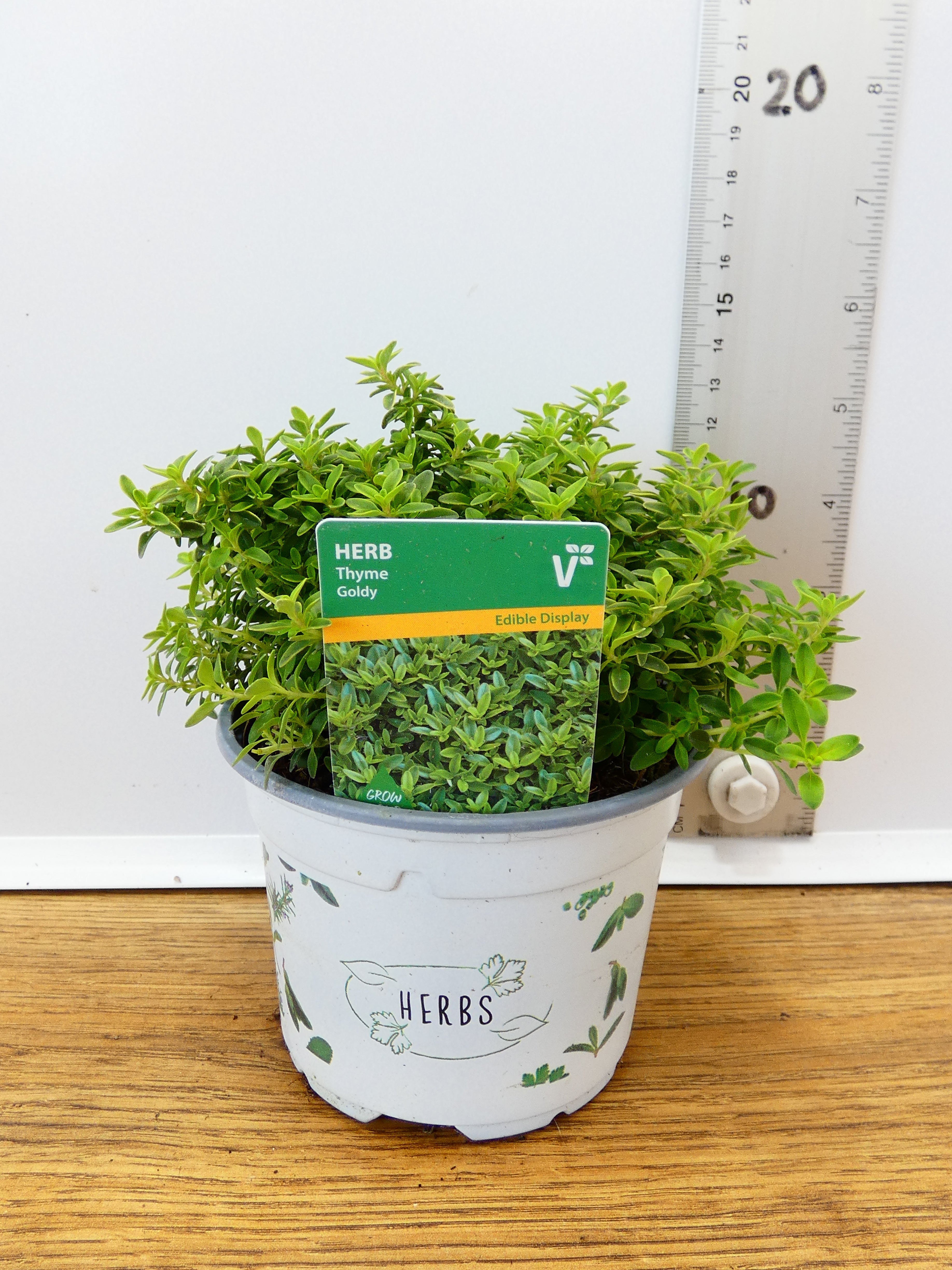 Herbs! Huge Selection (0.5ltr)