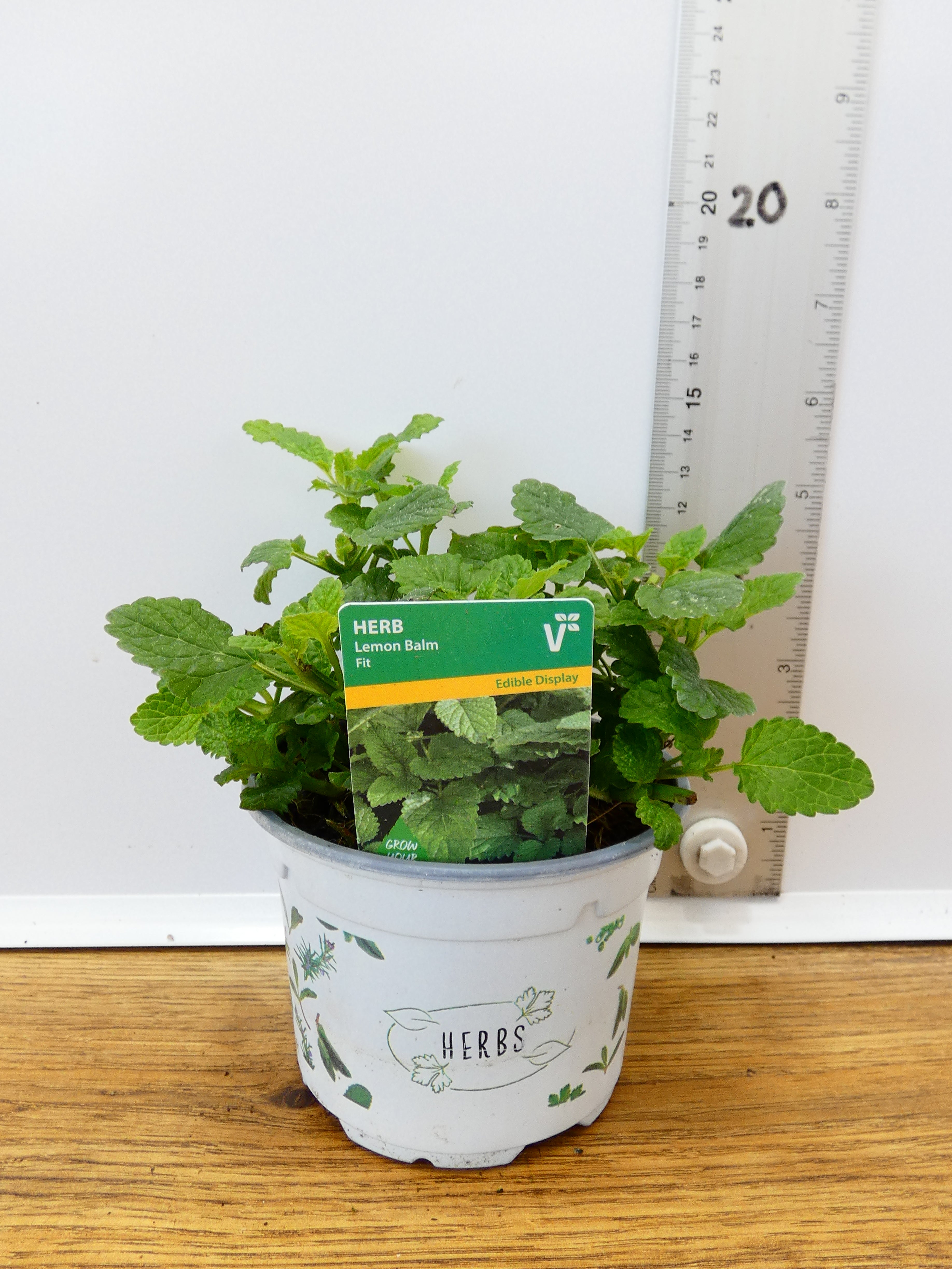 Herbs! Huge Selection (0.5ltr)