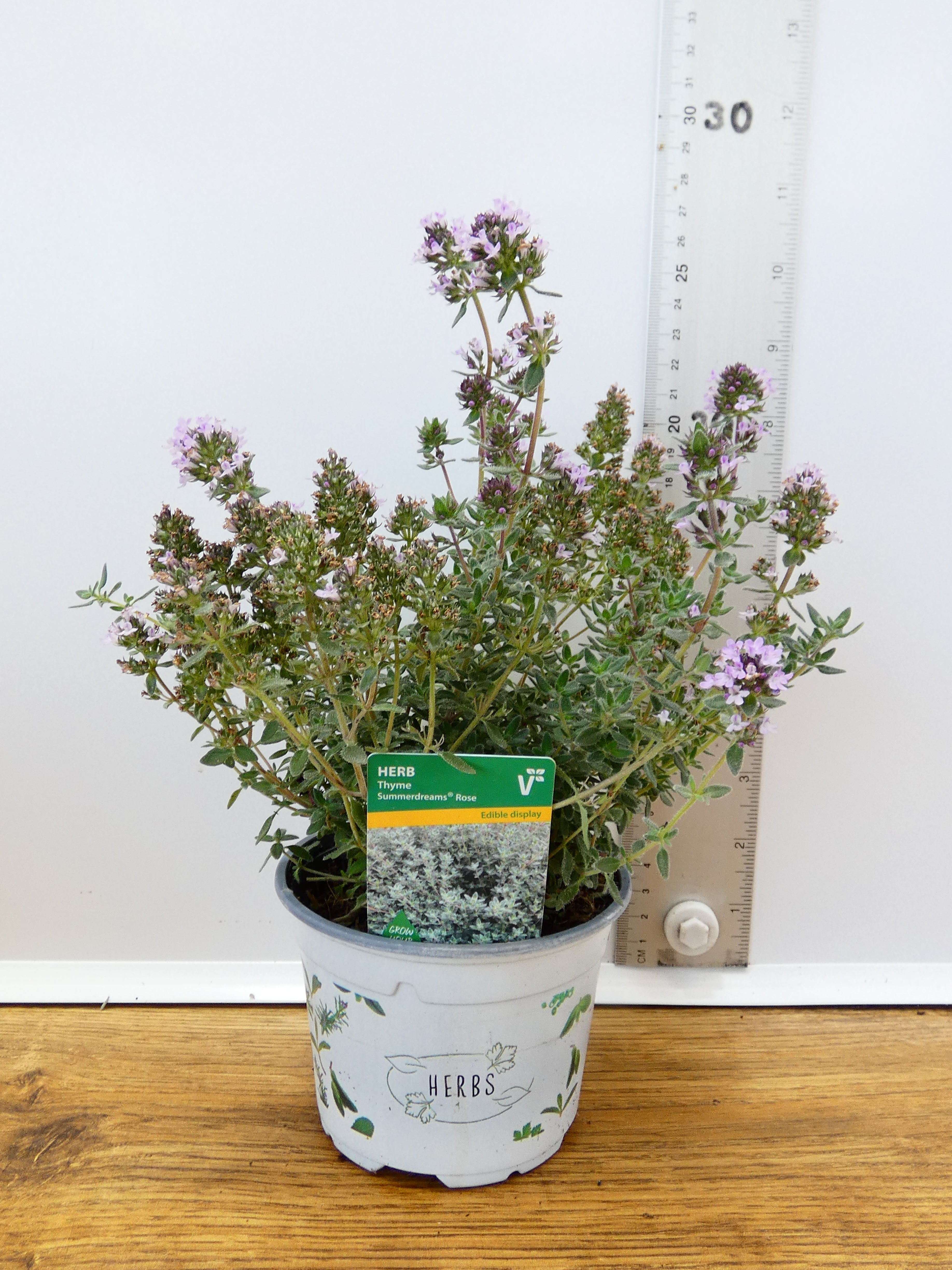 Herbs! Huge Selection (0.5ltr)