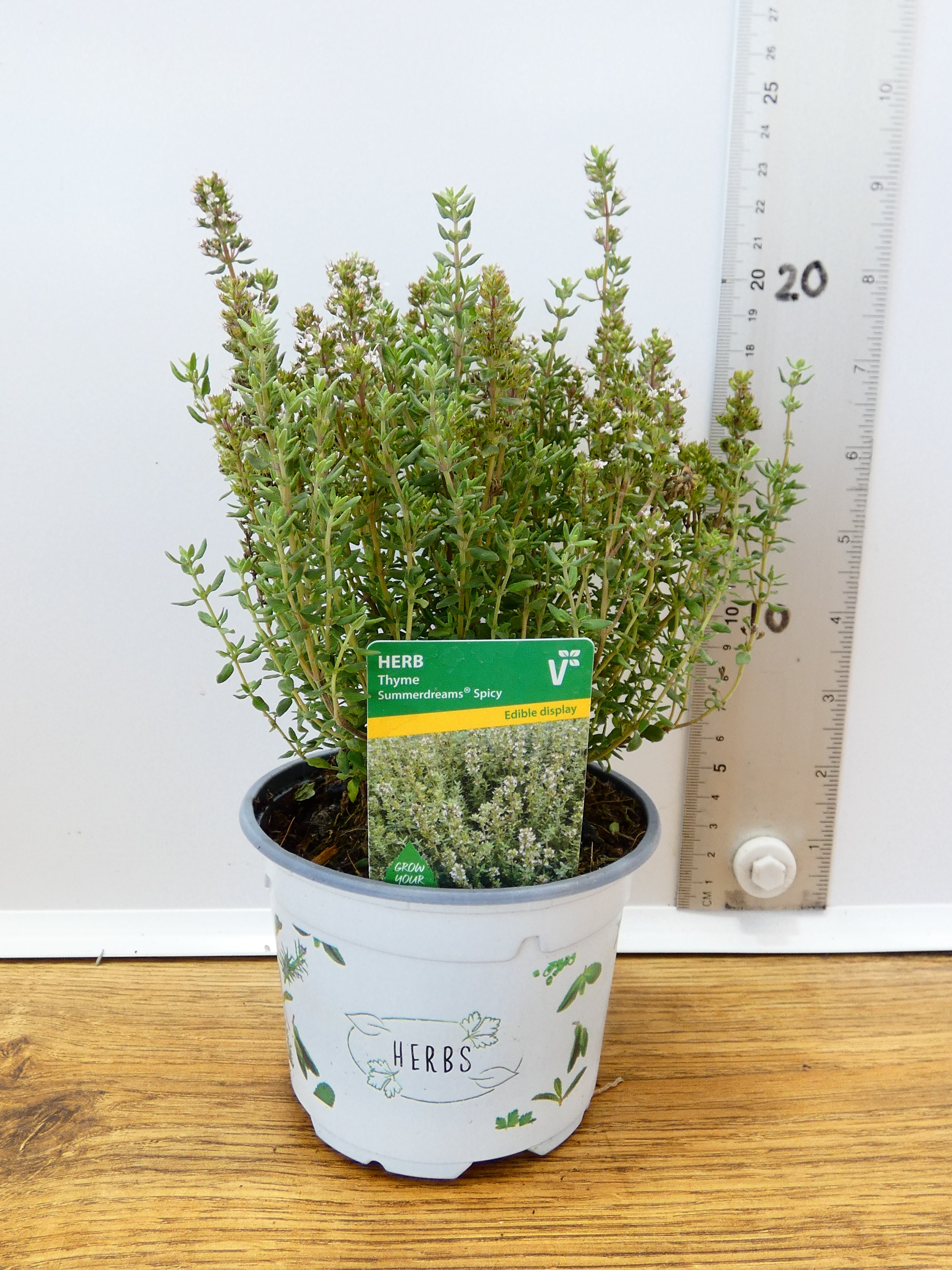 Herbs! Huge Selection (0.5ltr)