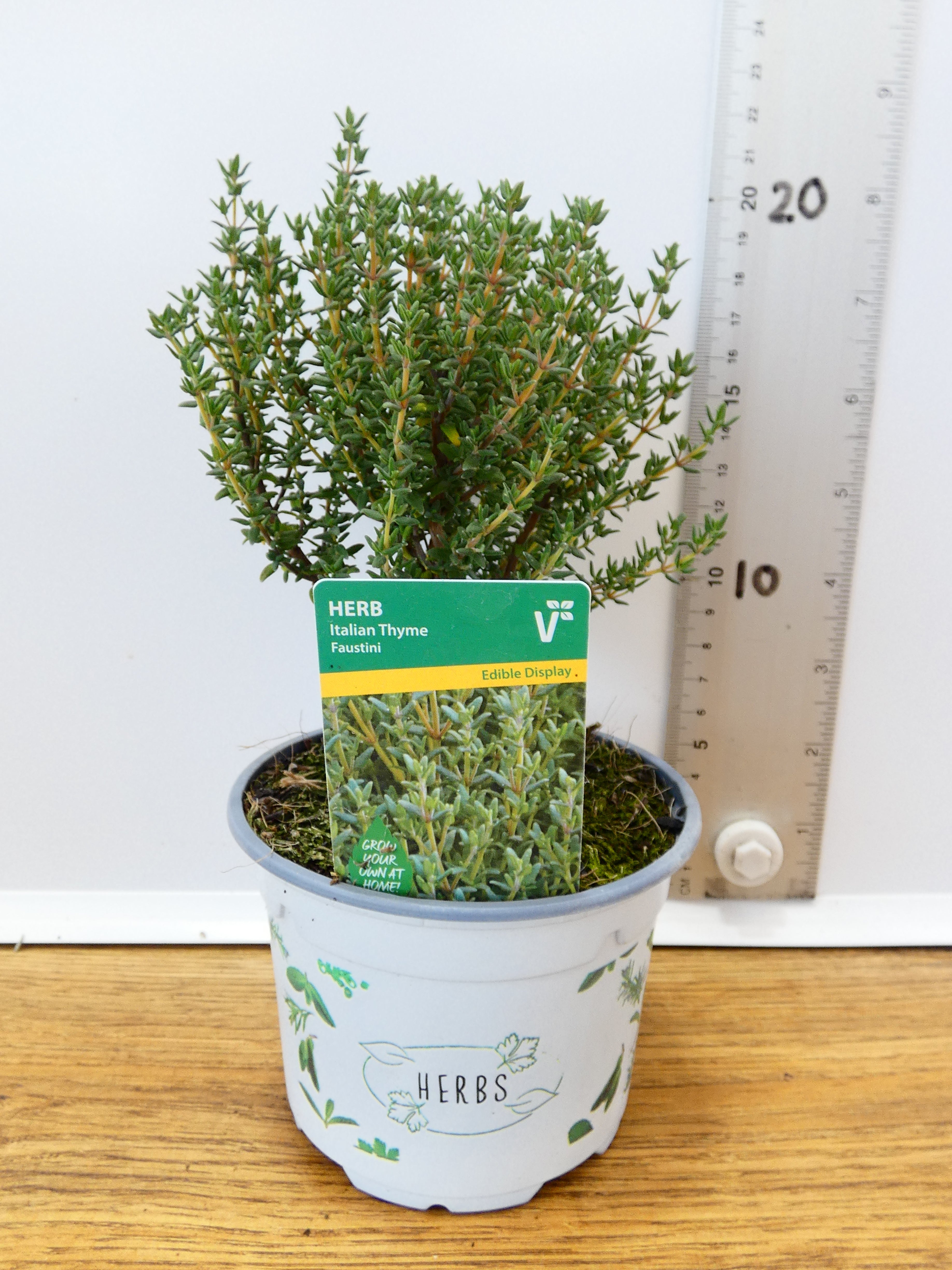 Herbs! Huge Selection (0.5ltr)