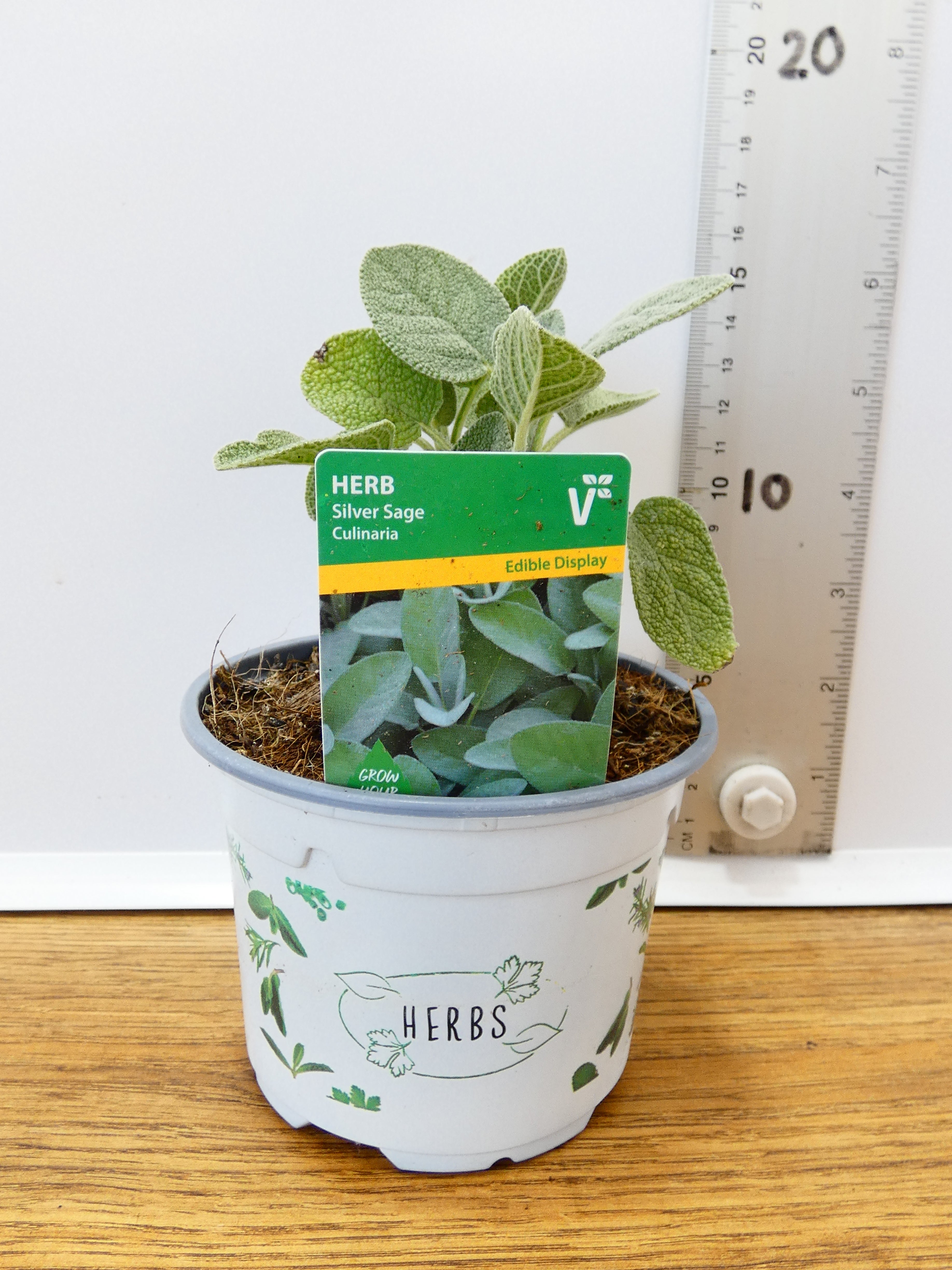 Herbs! Huge Selection (0.5ltr)