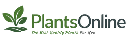 Translation missing: en.Plants Online accessibility.home