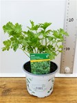 Herbs! Huge Selection (0.5ltr)